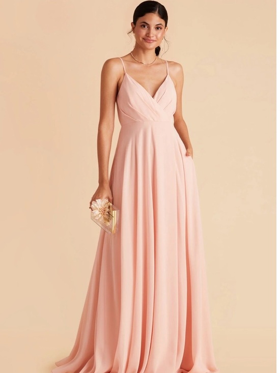 Birdy Grey Dresses & Skirts - NWT Birdy Grey Pale Blush Maia Dress